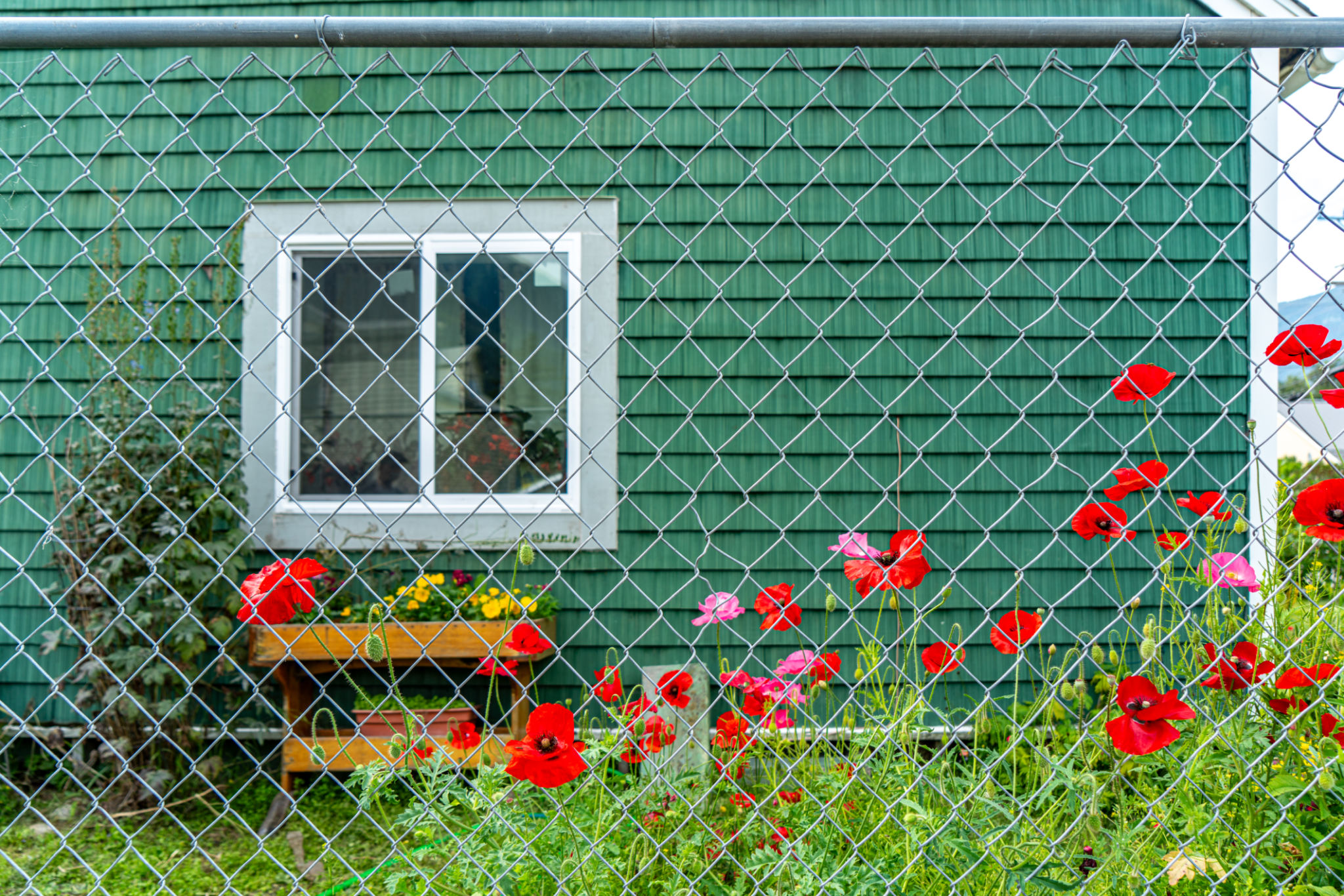 chain link fence