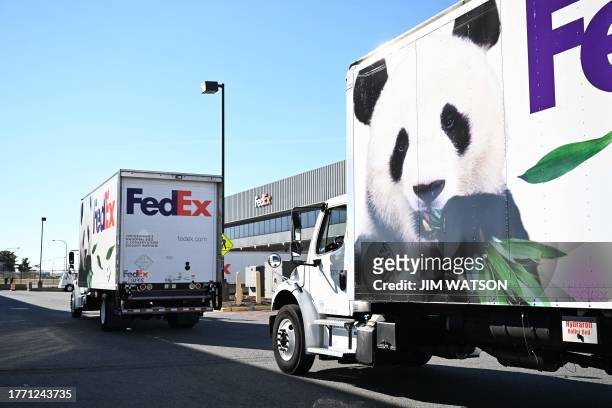 Trucks carrying the Giant Pandas from the Smithsonian's National Zoo arrive at Dulles International Airport in Dulles, Virginia, on November 8, 2023....