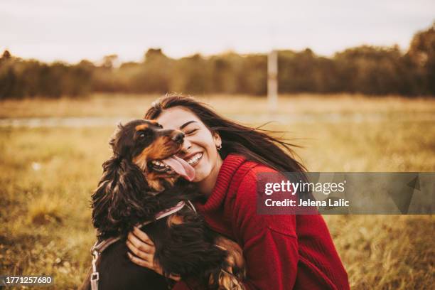 dogs love - embracing nature stock pictures, royalty-free photos & images