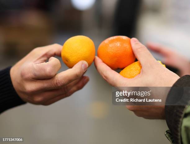 November 8 Anthony Pitoscia is an owner of on of the largest wholesalers, Fresh Advancements, and compares varieties of the clementines Wholesale...