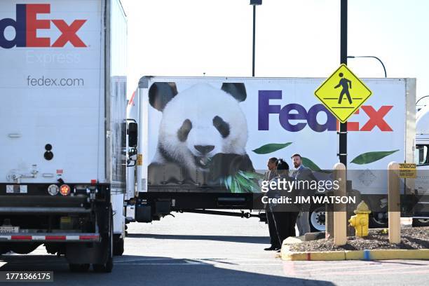 Trucks carrying the Giant Pandas from the Smithsonian's National Zoo arrive at Dulles International Airport in Dulles, Virginia, on November 8, 2023....