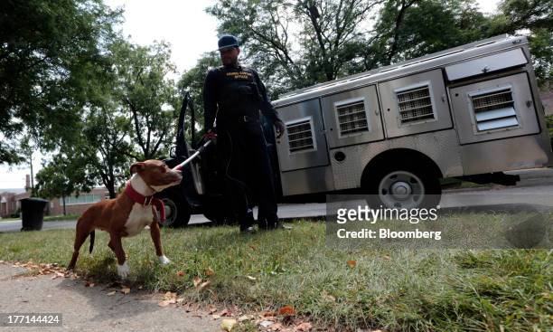 12 Detroit Animal Control Photos and Premium High Res Pictures - Getty  Images