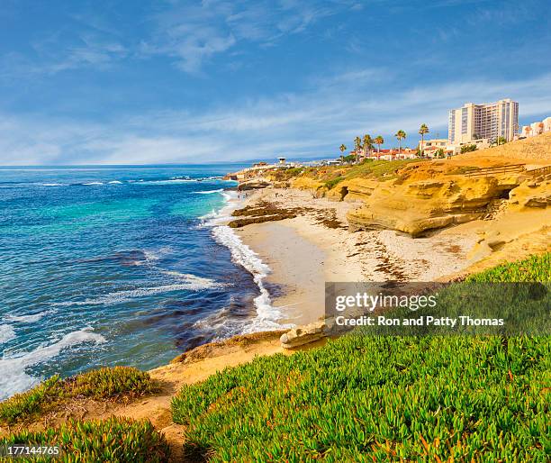 la jolla coastline in southern california (p) - san diego california beach stock pictures, royalty-free photos & images