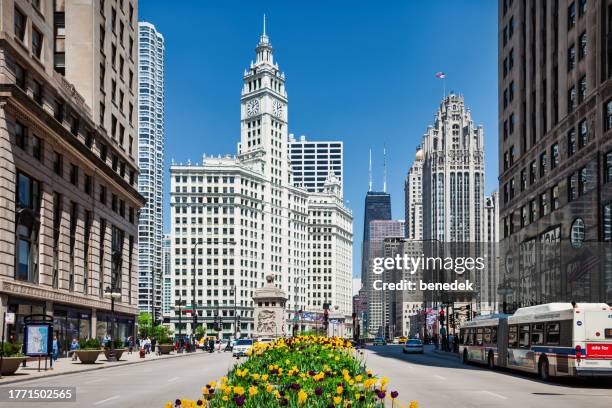 chicago illinois public bus transportation - magnificent mile stock pictures, royalty-free photos & images