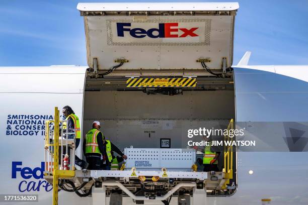 Workers load crates containing Giant Pandas from the Smithsonian's National Zoo onto the Panda Express, at Dulles International Airport in Dulles,...