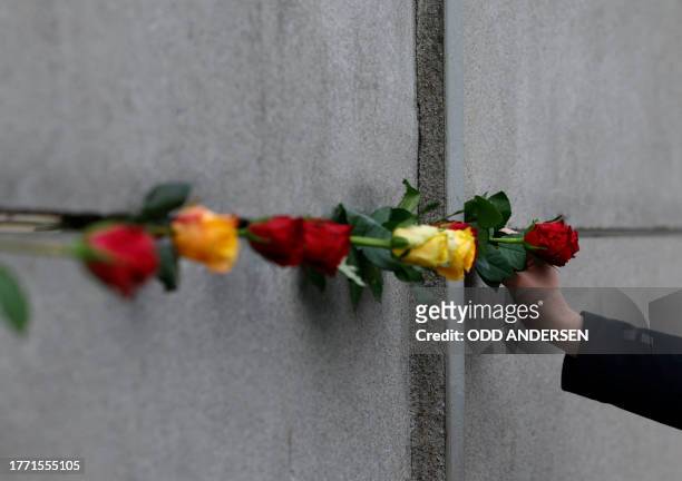 Man places a rose in the wall during festivities at the Berlin Wall Memorial, a 1,5 kilometers stretch on the former border strip between East and...