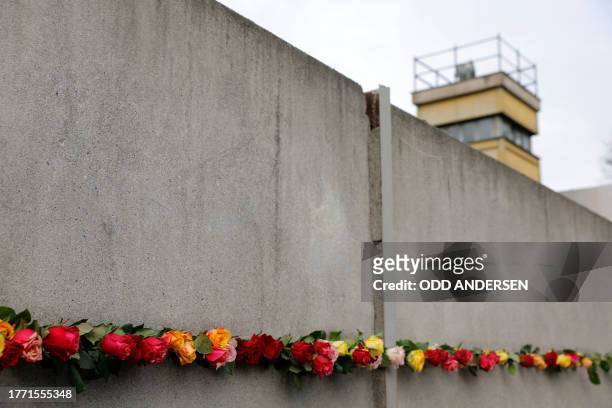 Roses placed in the wall are seen during festivities at the Berlin Wall Memorial, a 1,5 kilometers stretch on the former border strip between East...