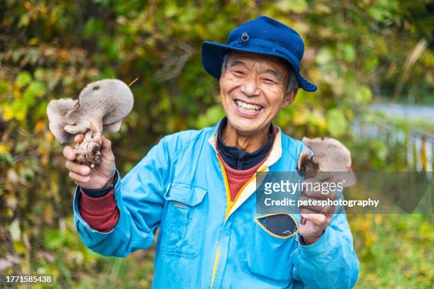 un japonés muestra sus setas koutake que encontró en un bosque - prefectura de iwate fotografías e imágenes de stock