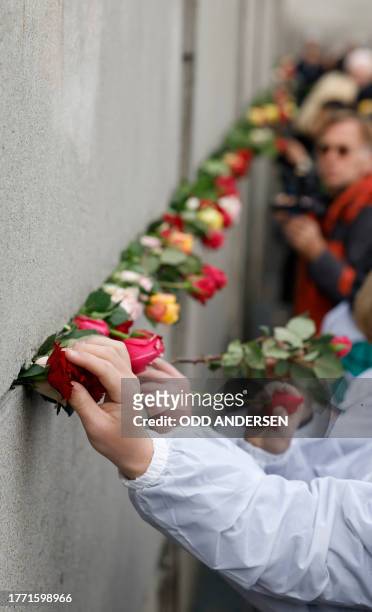 People place roses in the wall during festivities at the Berlin Wall Memorial, a 1,5 kilometers stretch on the former border strip between East and...