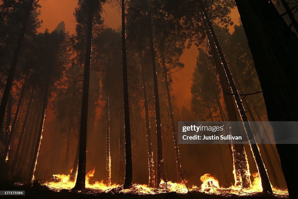 Rim Fire Burns Near Yosemite National Park