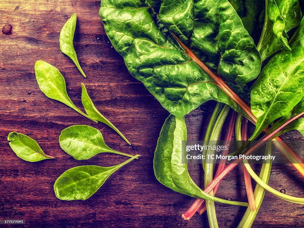 Organic Rainbow Chard