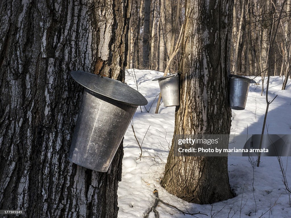 Metal buckets