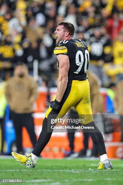 Watt of the Pittsburgh Steelers reacts after making a tackle with his helmet off during an NFL football game between the Pittsburgh Steelers and the...