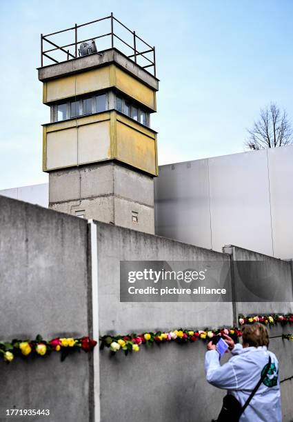 November 2023, Berlin: Roses are stuck in the Hinterlandmauer at the central commemoration ceremony for the 34th anniversary of the fall of the Wall...