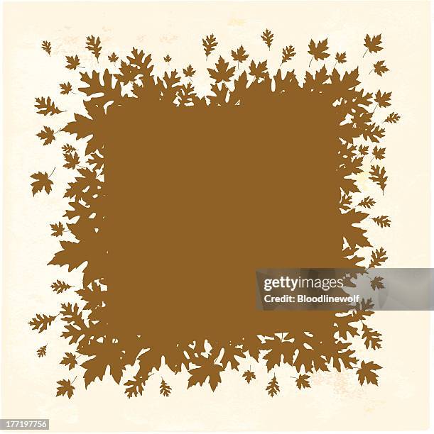 31 The Oaks Explosion Stock Photos, High-Res Pictures, and Images ...