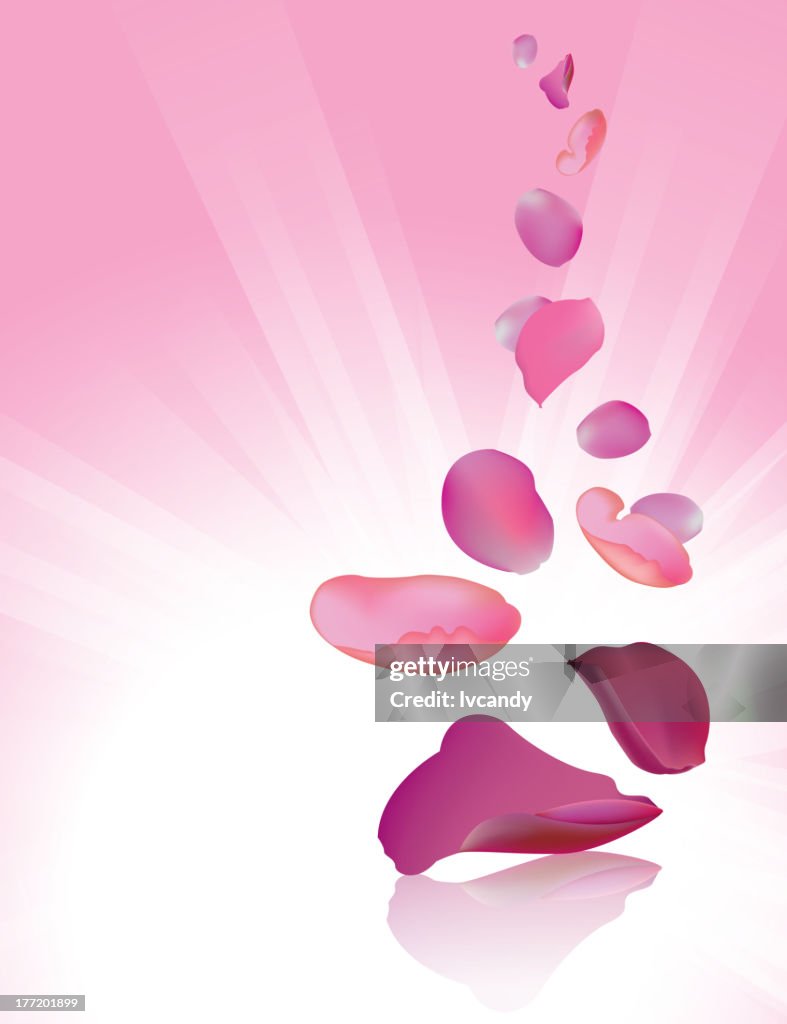 Falling rose petals