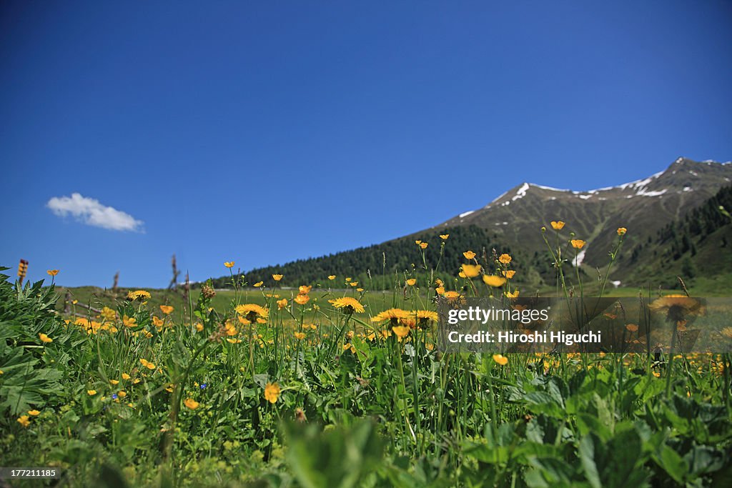 Switzerland, Davos