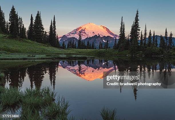 upper tipsoo lake sunrise - mt rainier national park stock pictures, royalty-free photos & images