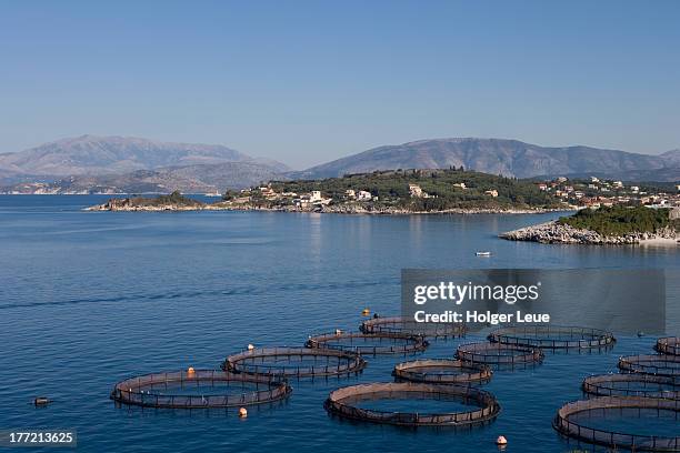 fish farm - aquaculture stock pictures, royalty-free photos & images