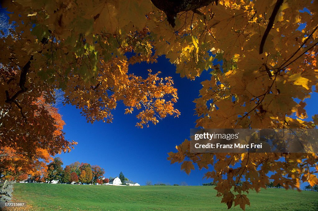 Canterbury, Shaker Village