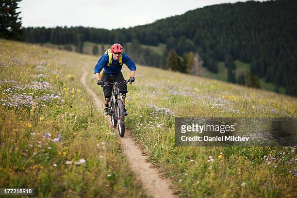 biker on a bike trail in the mountains. - vail colorado stock-fotos und bilder