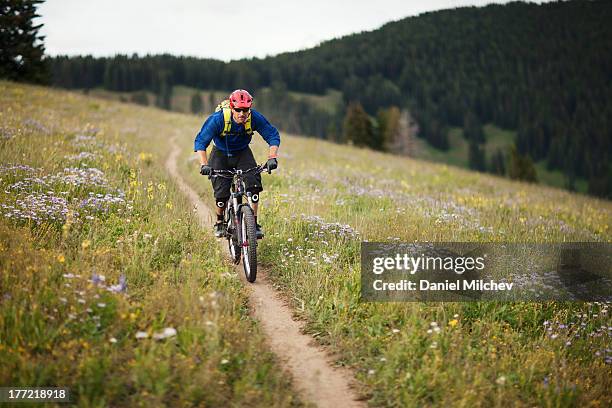 biker on a bike trail in the mountains. - vail colorado stock pictures, royalty-free photos & images