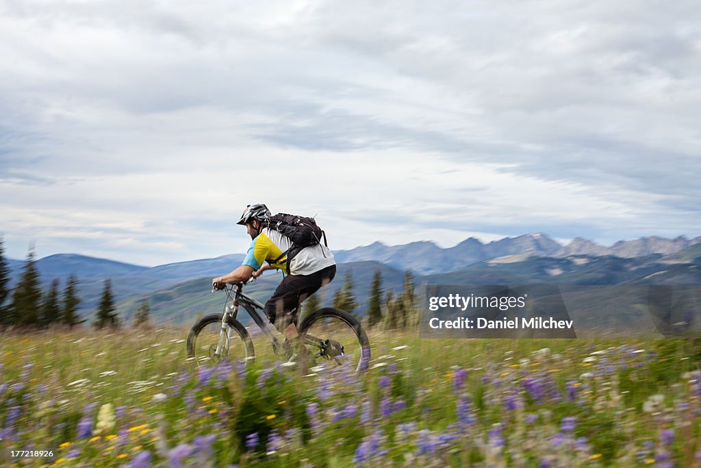 Mountain biker riding down the mountain.