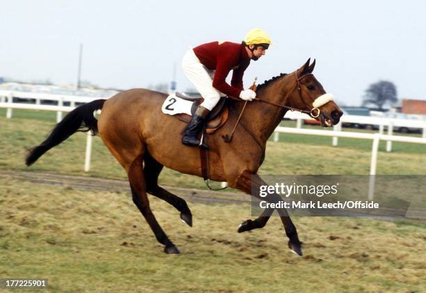 Haydock Park-, Red Rum goes down to the start with jockey Ron Barry up, They finished in 4th place, the last completed race for the famous horse.