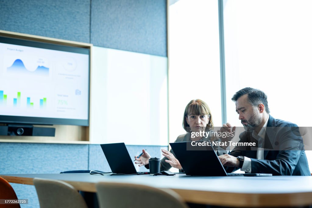 Unique Product Diversification to Build a Market Development Strategy. Businessmen and businesswomen discussing market and product development strategies on a laptop computer during a meeting in a modern business office.