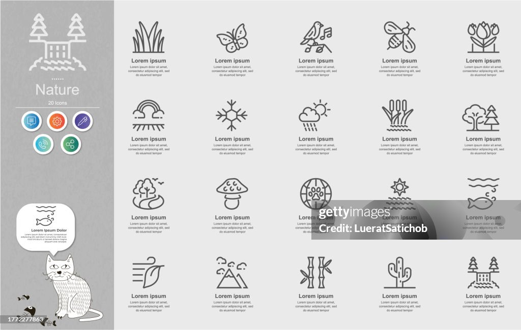 Nature Line Icons Content Infographic