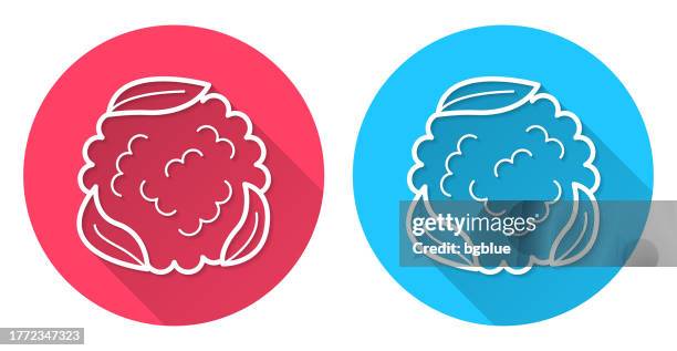 cauliflower. round icon with long shadow on red or blue background - cauliflower isolated stock illustrations