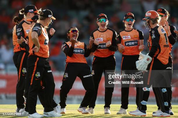 Alana King of the Scorchers celebrates after taking the wicket of Tasmin Beaumont of the Renegades during the WBBL match between Perth Scorchers and...