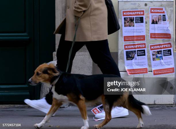 Person walks past posters of kidnapped hostages in Gaza, on November 9, 2023 in Vienna. Thousands of civilians, both Palestinians and Israelis, have...