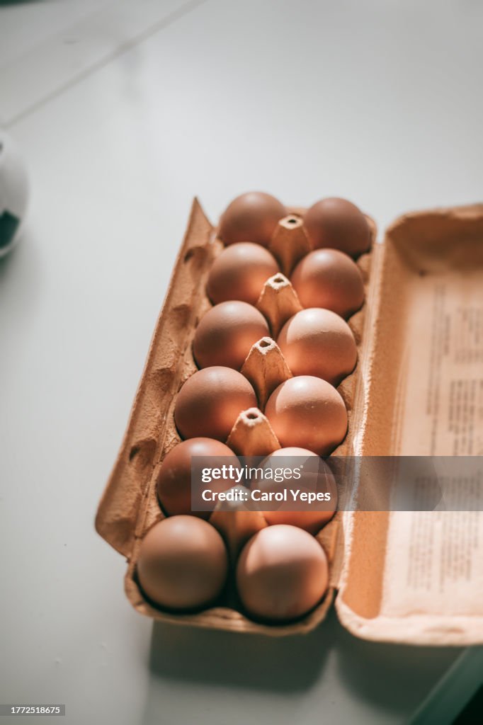 Various types, colors, and shades of Eggs,