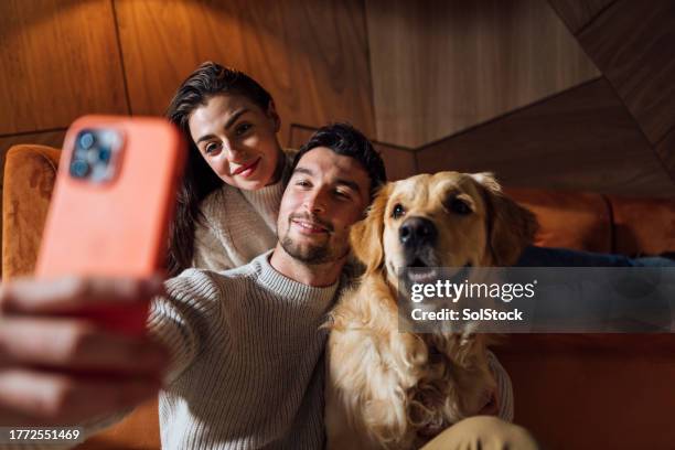 picture-perfect moments - dog human relationship stock pictures, royalty-free photos & images