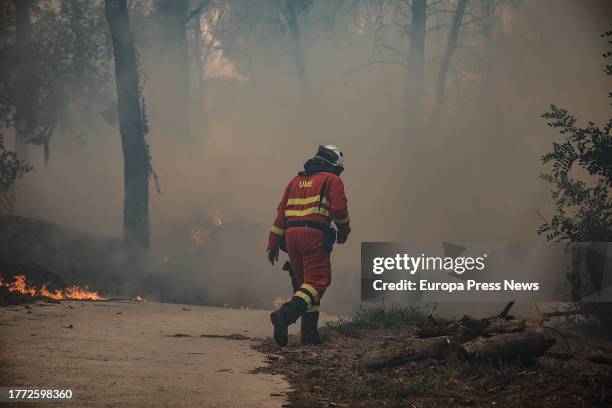 Agent works to extinguish the fire, on November 3 in Ador, Valencia, Valencian Community, Spain. The forest fire declared yesterday, November 2, in...