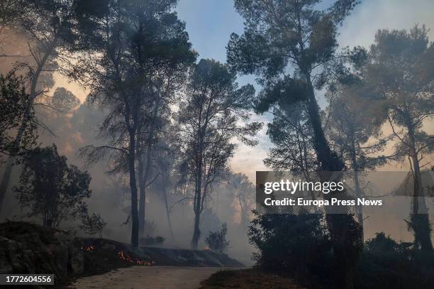 An area affected by fire on November 3 in Ador, Valencia, Valencian Community, Spain. The forest fire declared yesterday, November 2, in the...