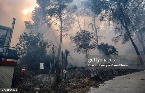 An area affected by fire on November 3 in Ador, Valencia, Valencian Community, Spain. The forest fire declared yesterday, November 2, in the...