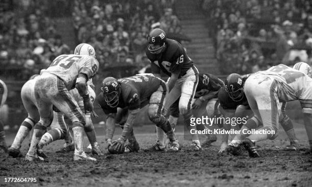 Norm Snead of the New York Giants calls for the snap from Greg Larson during a game against the Miami Dolphins at Yankee Stadium on November 10, 1972...