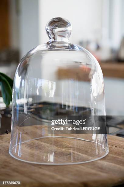 close-up of a bell jar on a kitchen counter - campana de vacío fotografías e imágenes de stock