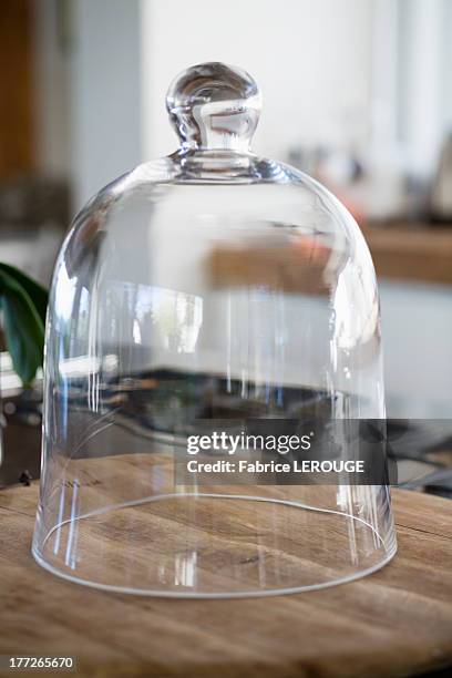 close-up of a bell jar on a kitchen counter - bell jar ストックフォトと画像