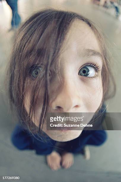 big blue eyes. - fish eye lens stock pictures, royalty-free photos & images