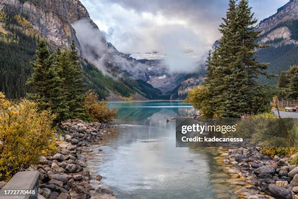 lake louise - banff stock pictures, royalty-free photos & images