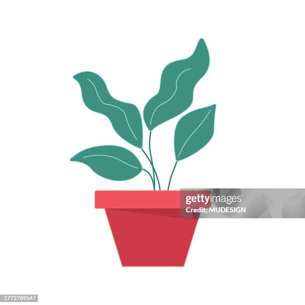 houseplant in red pot - potted plant stock illustrations