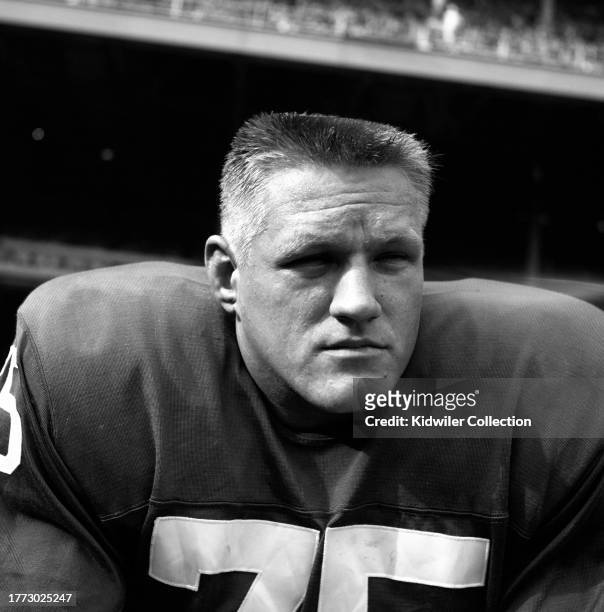 Jim Katcavage of the New York Giants looks on during a game against the Pittsburgh Steelers at Yankee Stadium on October 14, 1962 in New York, New...