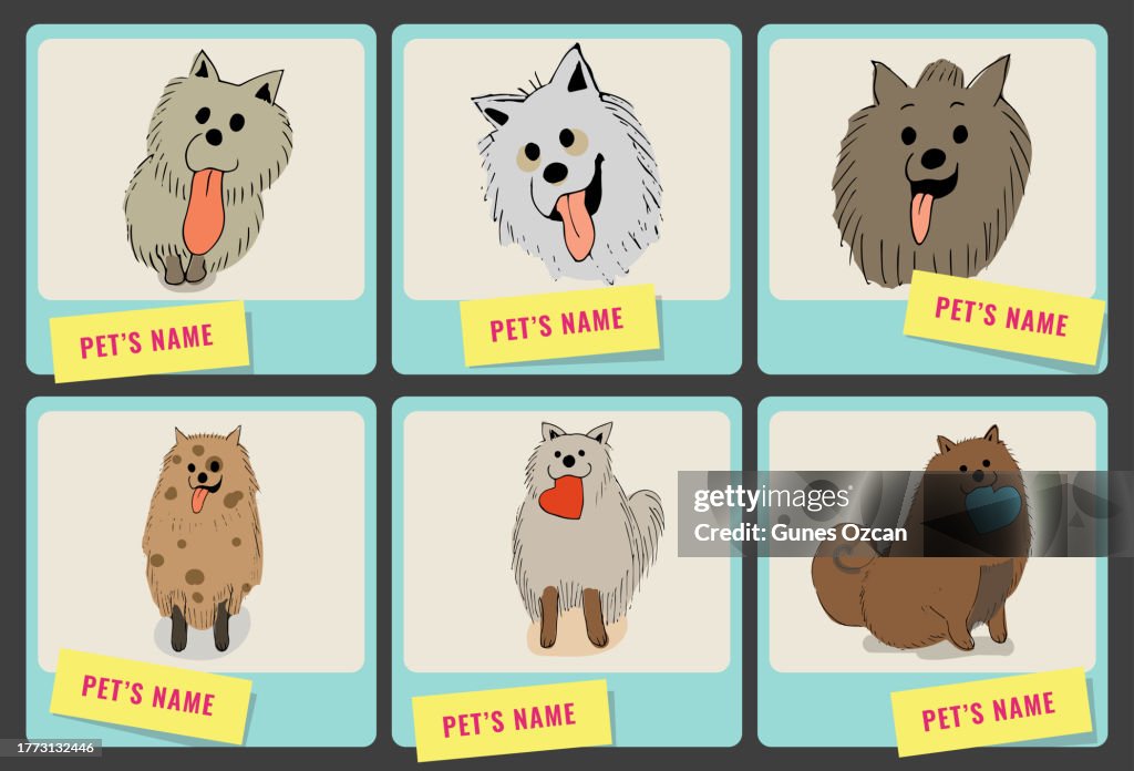 6 Pictures of Cute Pets - Lovely Dogs posing for picture - Cute Dog Doodles - Pet Adoption - Choosing - Deciding - Decisions - Animal Care