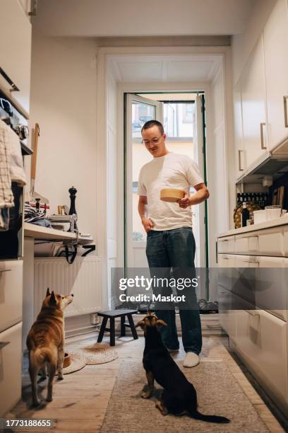 man giving food to dogs while standing in kitchen at home - feeding puppies stock pictures, royalty-free photos & images