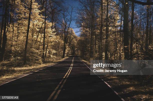 Morgan Ridge Indiana 18 Morgan Monroe State Forest Stock Photos, High-Res Pictures, and ...