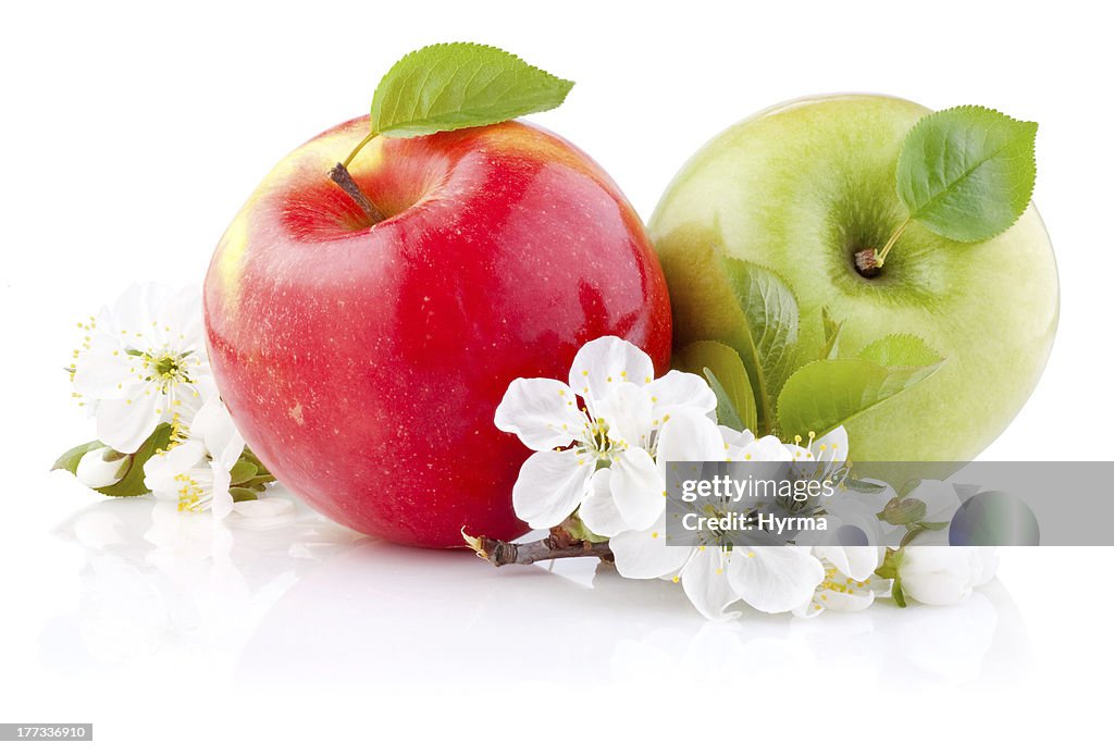 Two red and green apples with leaves, flowers on white