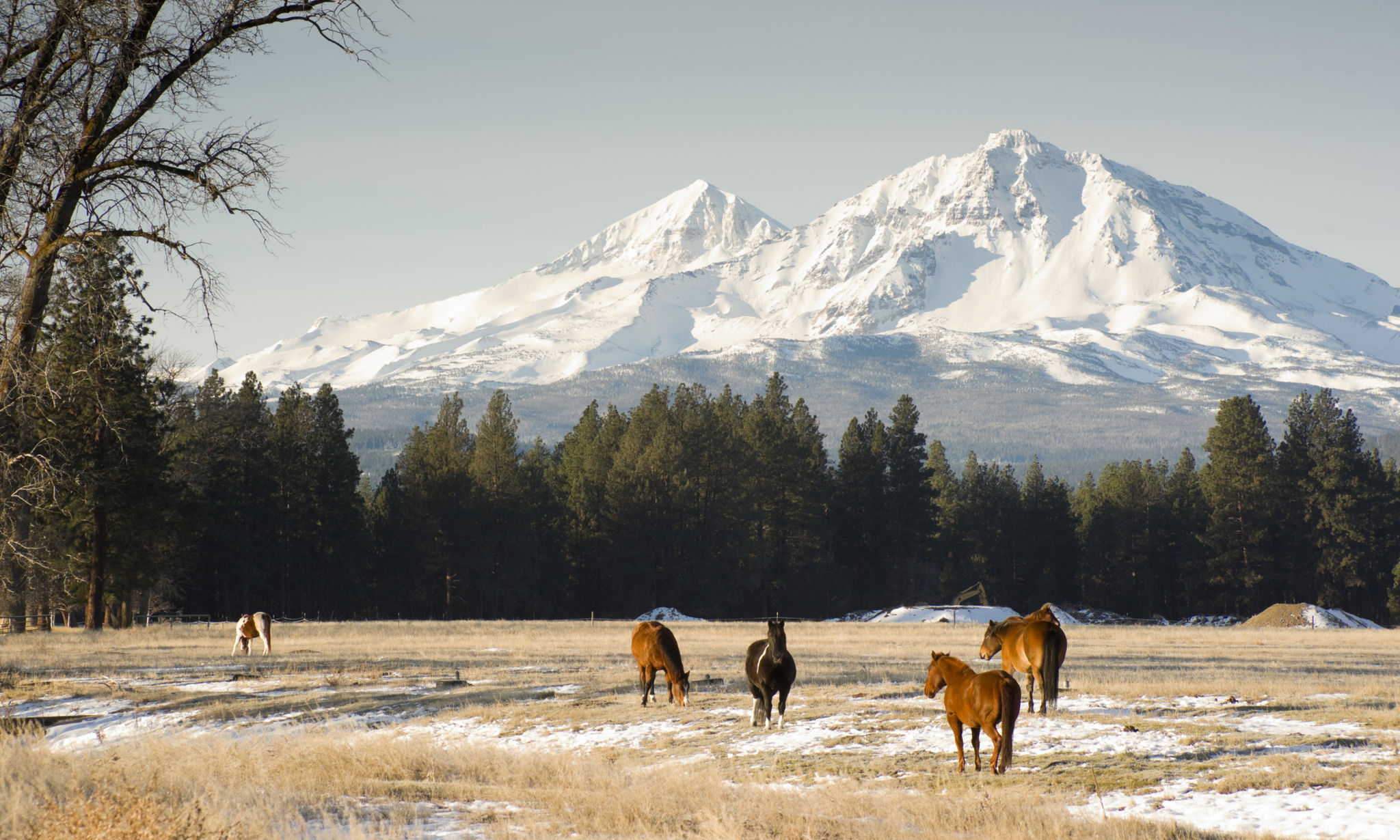 oregon winter
